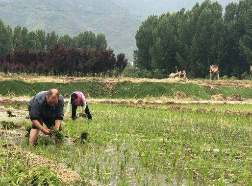 王莽街道刘秀村 22348b16b1d5405484a315f3eaaf437b.jpeg