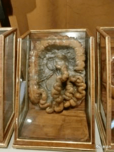 塞麦尔维斯博物馆中的大肠蜡像解剖