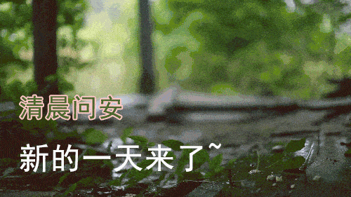 6月最新版漂亮早安问候动态表情图片鲜花带字清晨问候祝福语图片带字