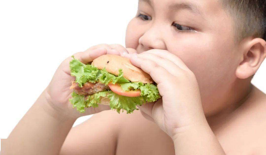 儿童|父母必看！孩子白白胖胖才健康？这8大危害一定注意......