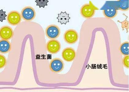 a257f2b7334b43c1b68086351490f2b4.jpeg