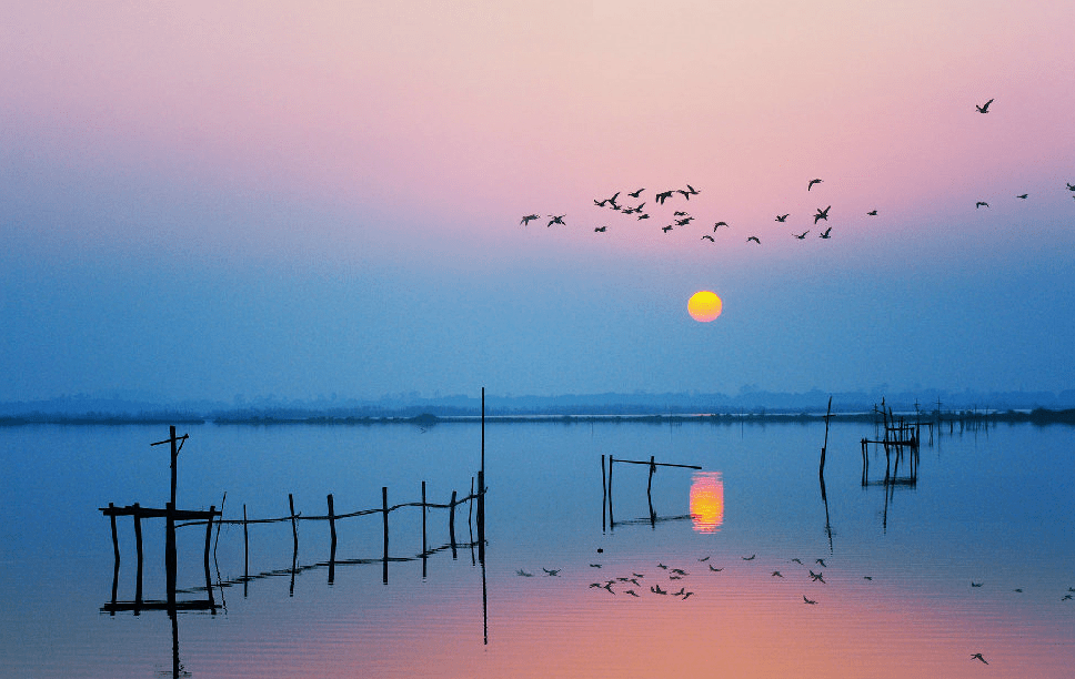 去  黄陂湖拍照,傍晚时分,沿着湖边漫步,一边欣赏美景,一边拍下美美的