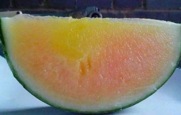 c1e2c12d6ea44d7883405c4f8e2a57d6.jpeg