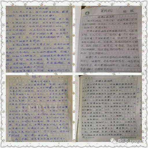 什么是少先队员具备的美德 e19f3c5a3a8c4e3c8bb6a60f421b95b3.jpeg