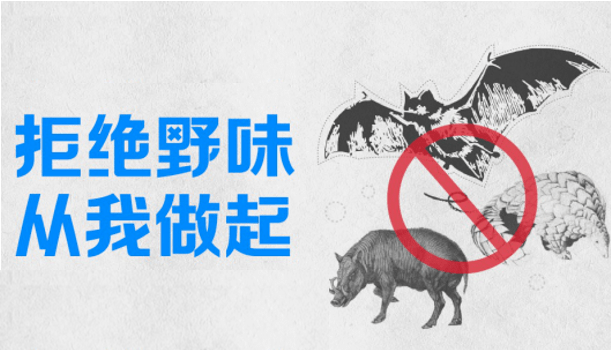 拒食野生动物 从你我做起 禁止食用野生动物的倡仪书来啦!