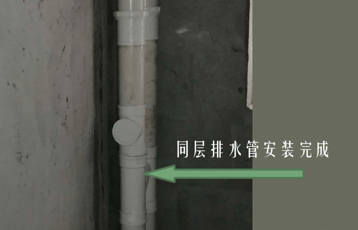 同层排水管安装完成