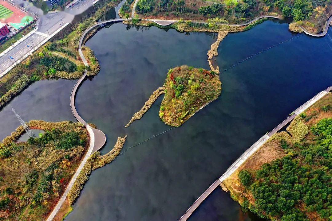 鹿溪河生态区—天府新区的一张"生态名片"生态区划分为生态湿地区和