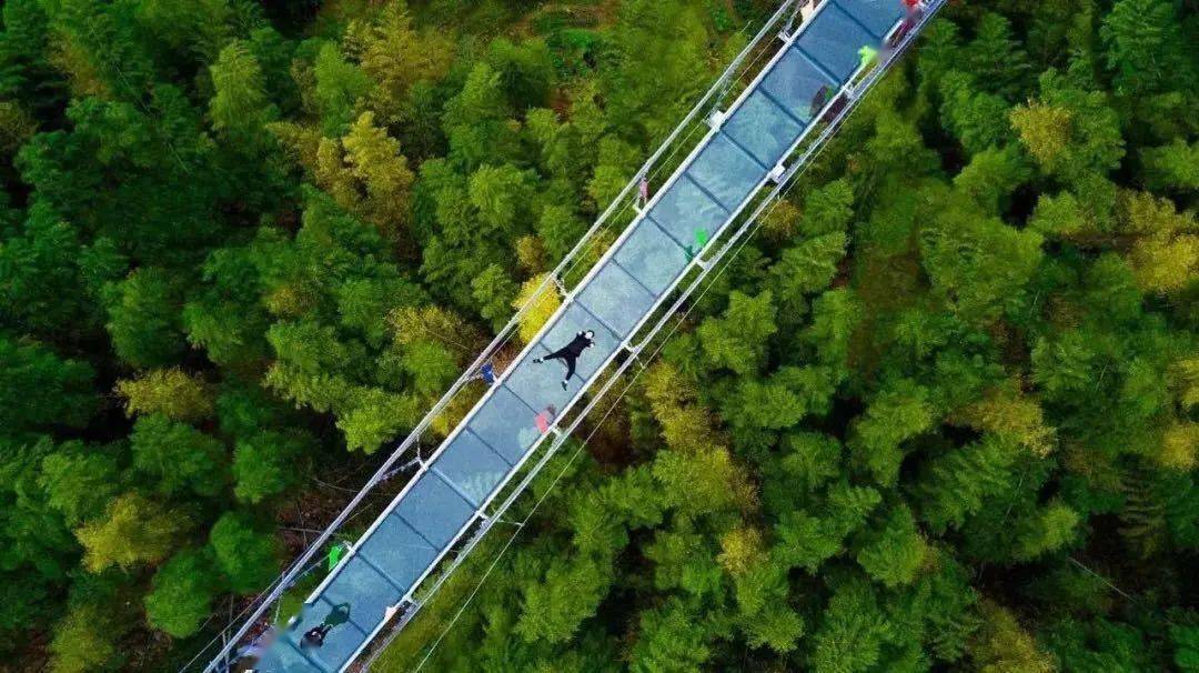 补助奖励义乌出台文化旅游企业帮扶十条意见