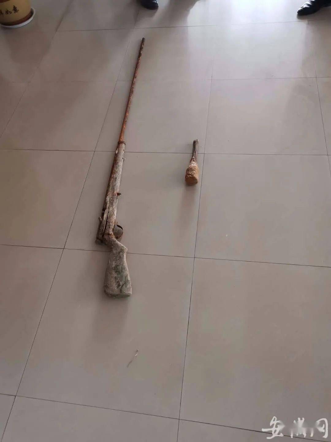萧县一村民割麦时发现一把近2米长的土枪.
