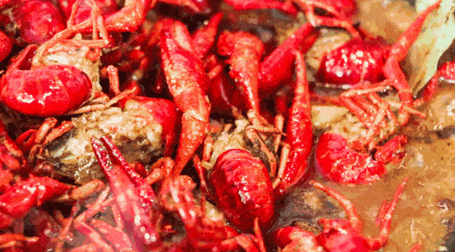 eb01a6b631d64dca97393c4192dedb3e.gif