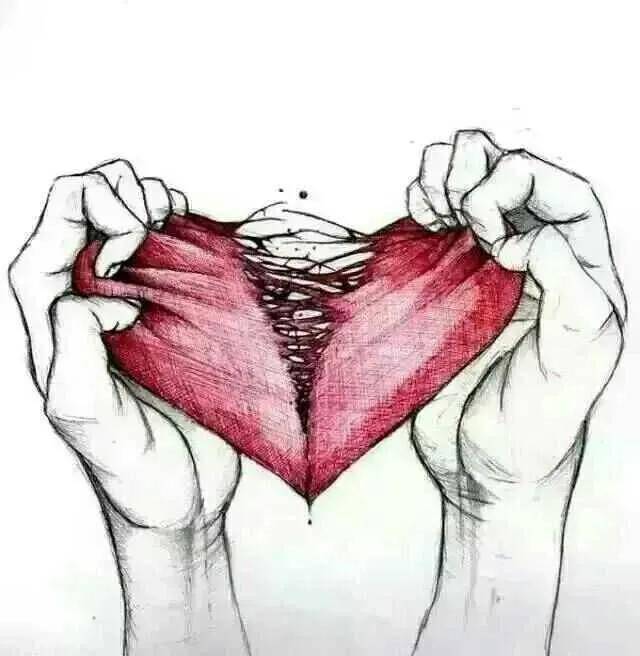 琵琶骨在哪里有图片吗 4d83731fa5e74e89a47fe70bd9aa494c.jpeg