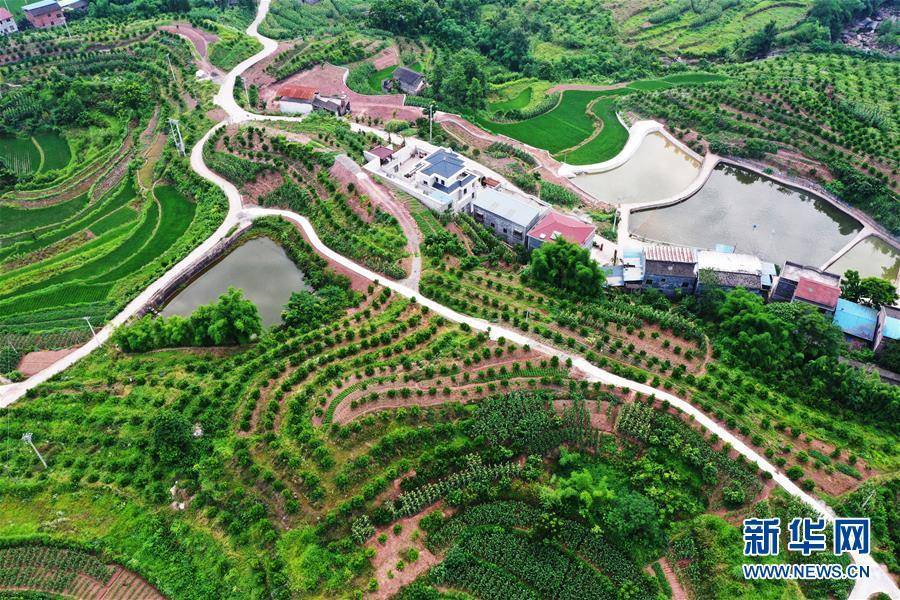 王全超|重庆：夏日山乡美