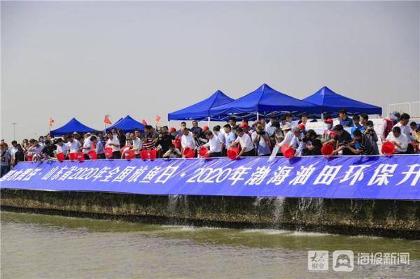 鱼苗|11.9万尾苗种回归大海！东营市民现场放鱼热情高涨