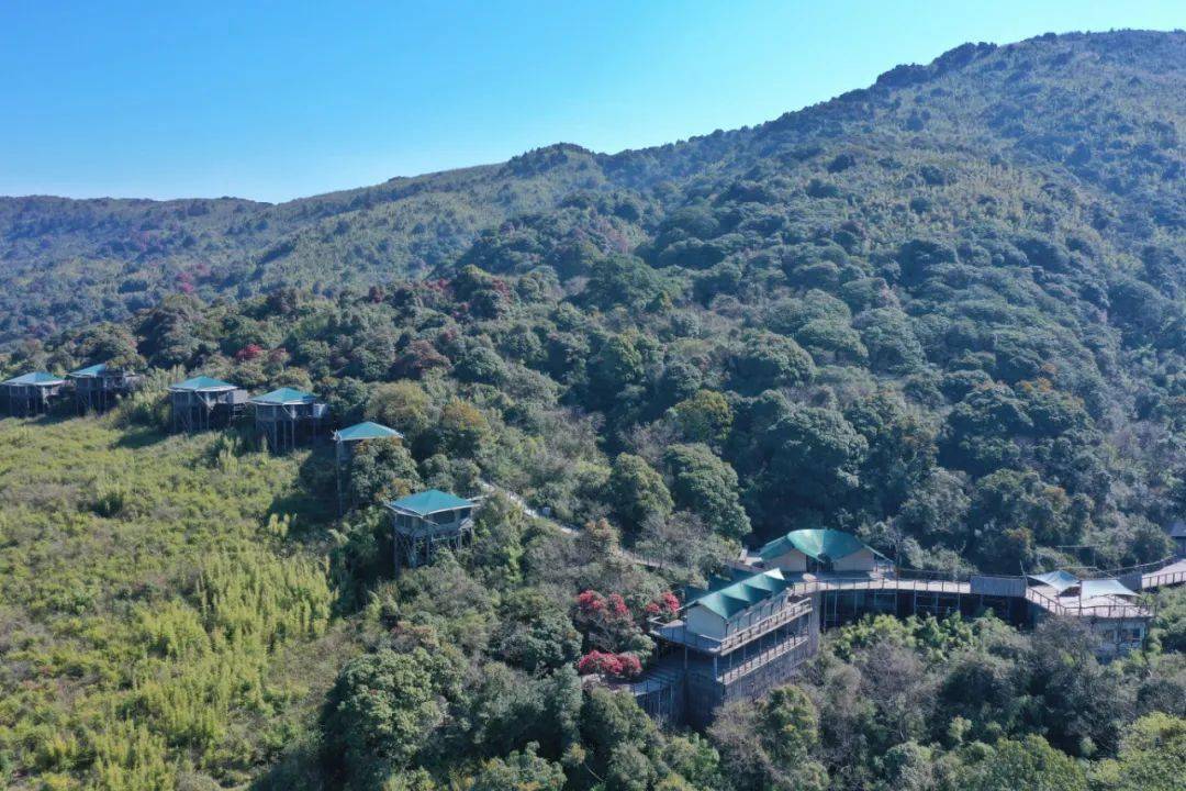 云南3地2单位入选!首批国家森林康养基地名单出炉