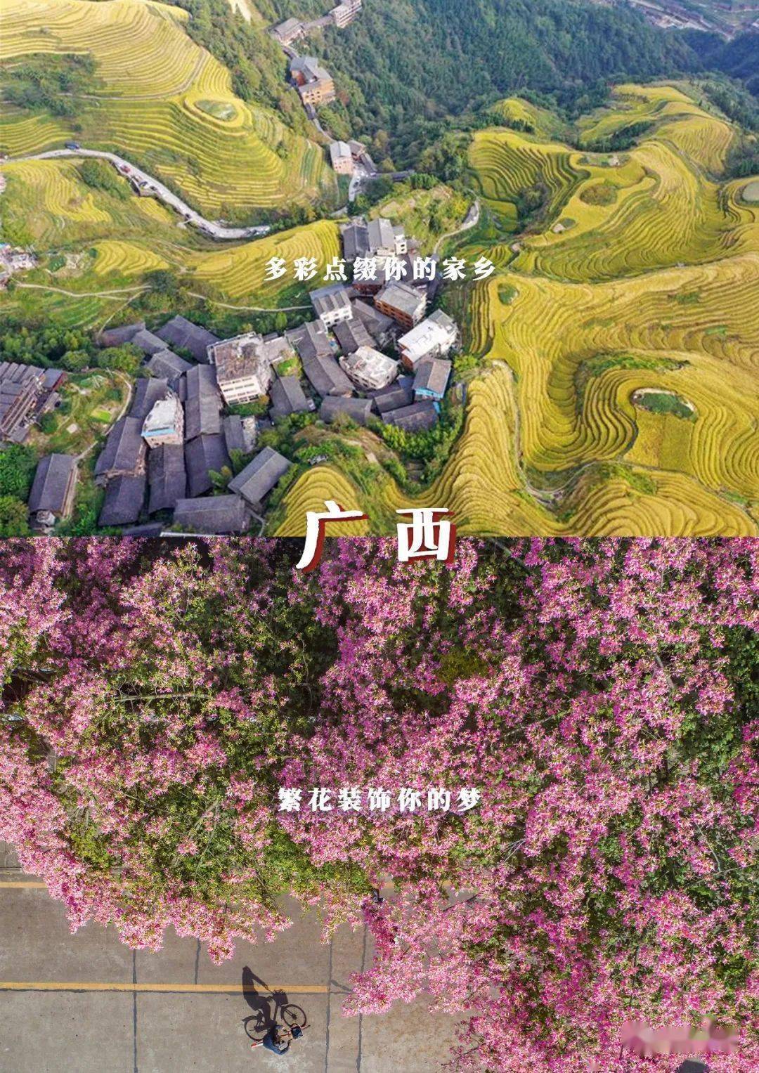 林世泉|梦想不延时华师在等你