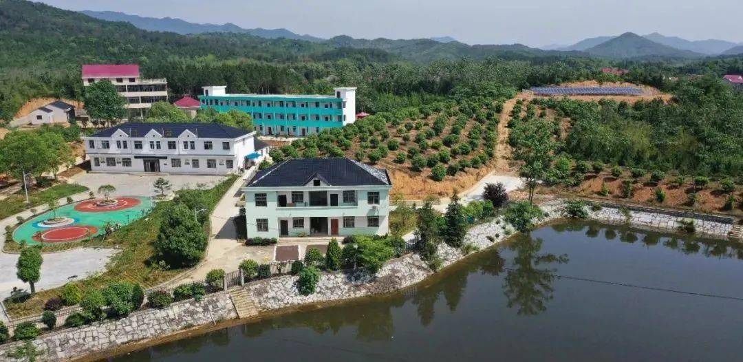 (1)采摘地址:江西省九江市都昌县大港镇太阳村(导航"江西太阳村儿童