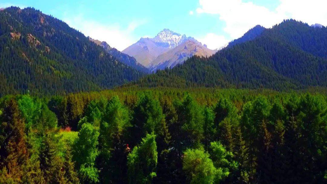 乌苏市佛山国家森林公园醉人风光吸引大批游客_景区