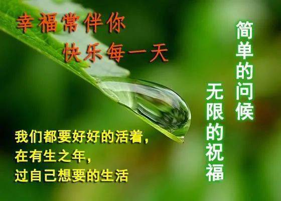 6月最新好看唯美的鲜花早上好动态图片带字,早安图片