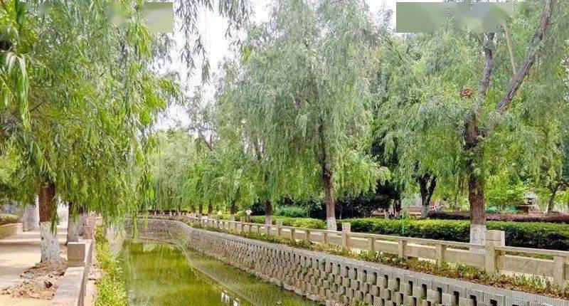西护城河生态砖挡土墙,为城市增添绿色