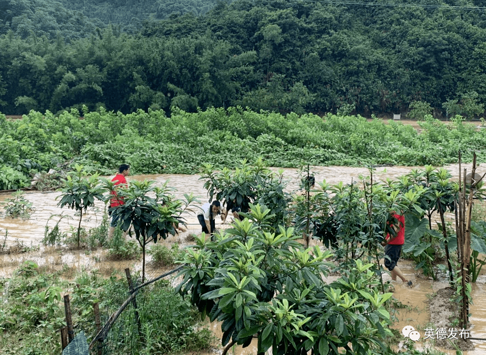 英德有多少人口_英德中学