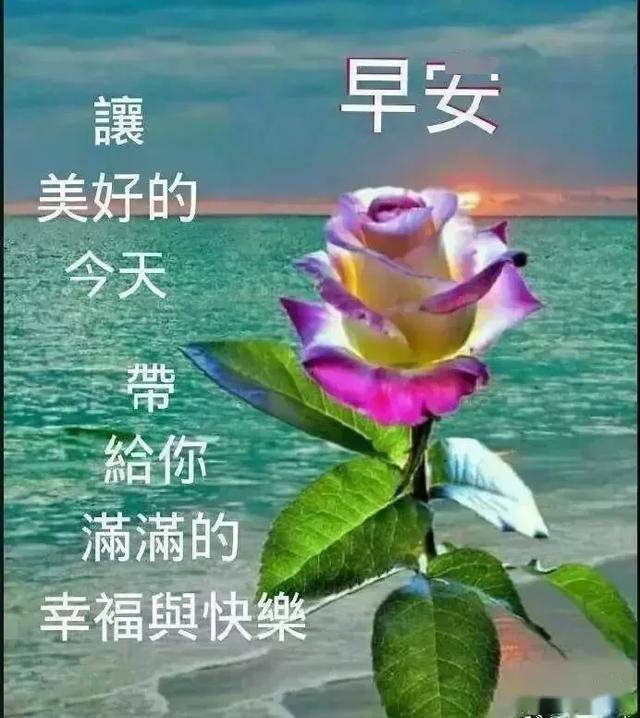 人可以不美丽,但要健康;人可以不伟大,但要快乐,早安