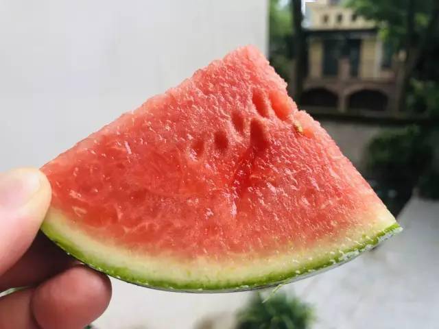 5fe16f8fc9e44f3caec4f137a86e7697.jpeg