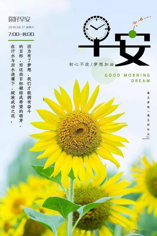 7c4367dc9e9547b5a515cc0c03bc43d3.jpeg
