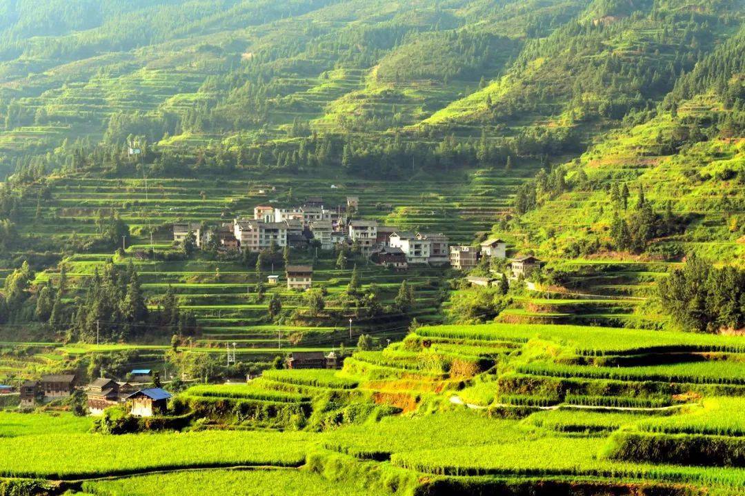 在装着天然中央空调的地方旅行，不香吗?