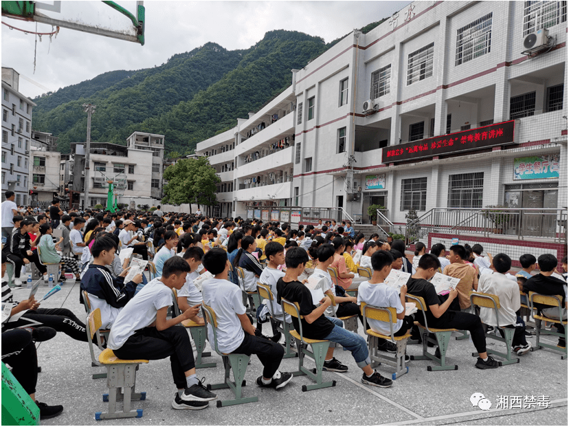 泸溪县解放岩乡开展禁毒宣传进校园活动