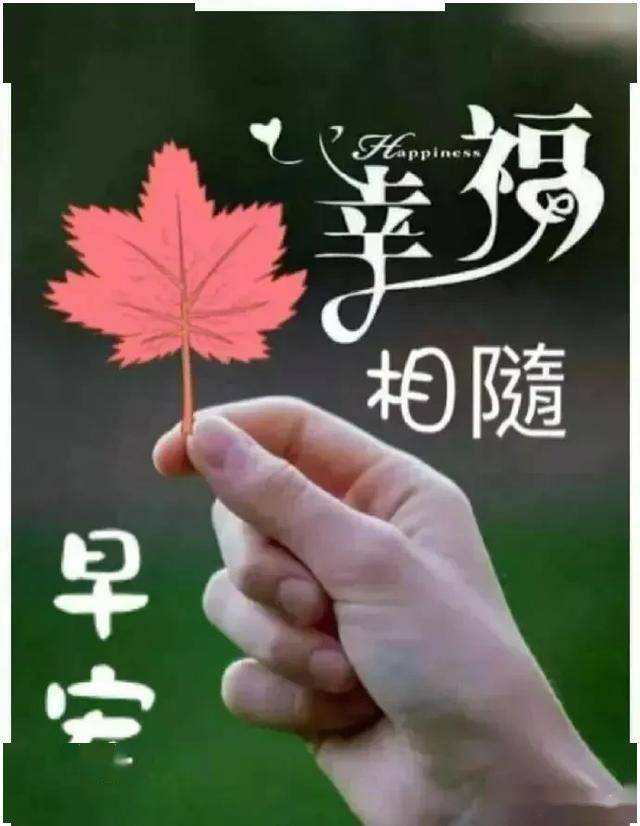 有种惦记,疏淡却很甘甜;有种问候,平常却很温暖,早安