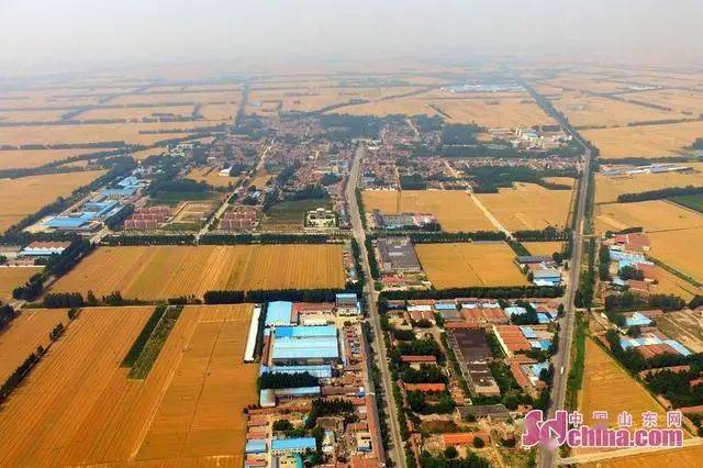 山东省茌平县2017经济总量_茌平县人民医院