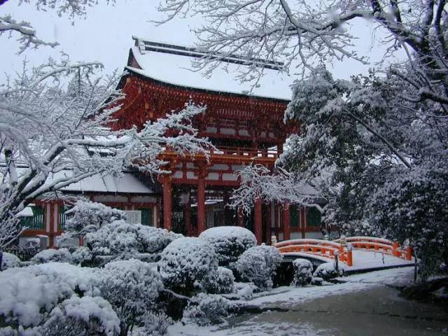 飘落在寺庙里的雪,美得出尘!