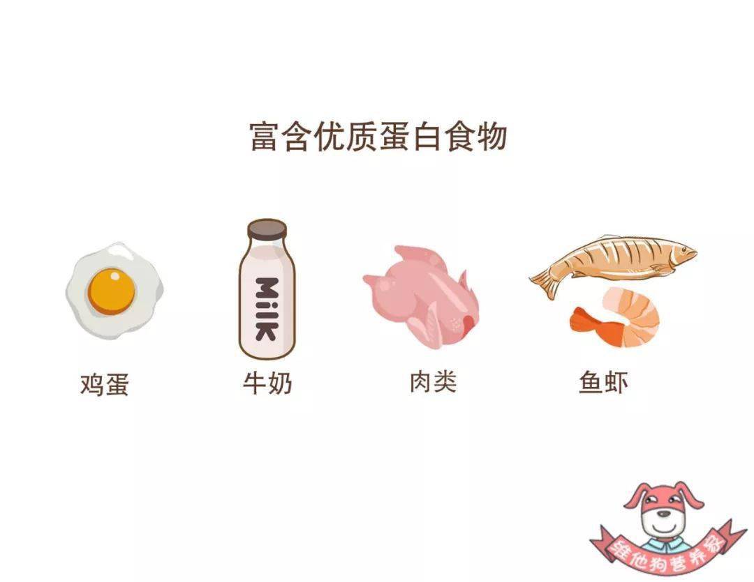 优质蛋白质包括哪些东西 24e7c89a5756402cb4fd55f01e5bbe1d.jpeg
