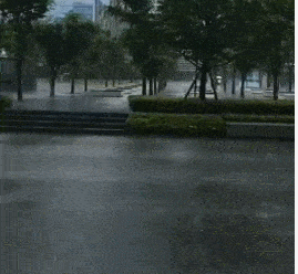 269_248gif 动态图 动图