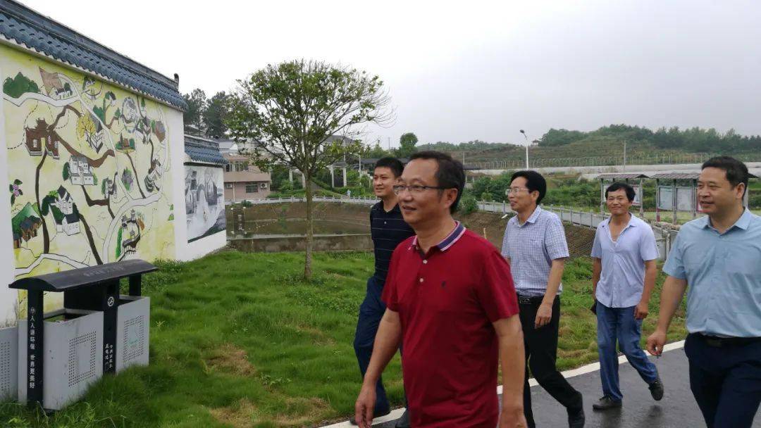 市财政局到彭思镇凤凰村指导美丽乡村示范村建设工作