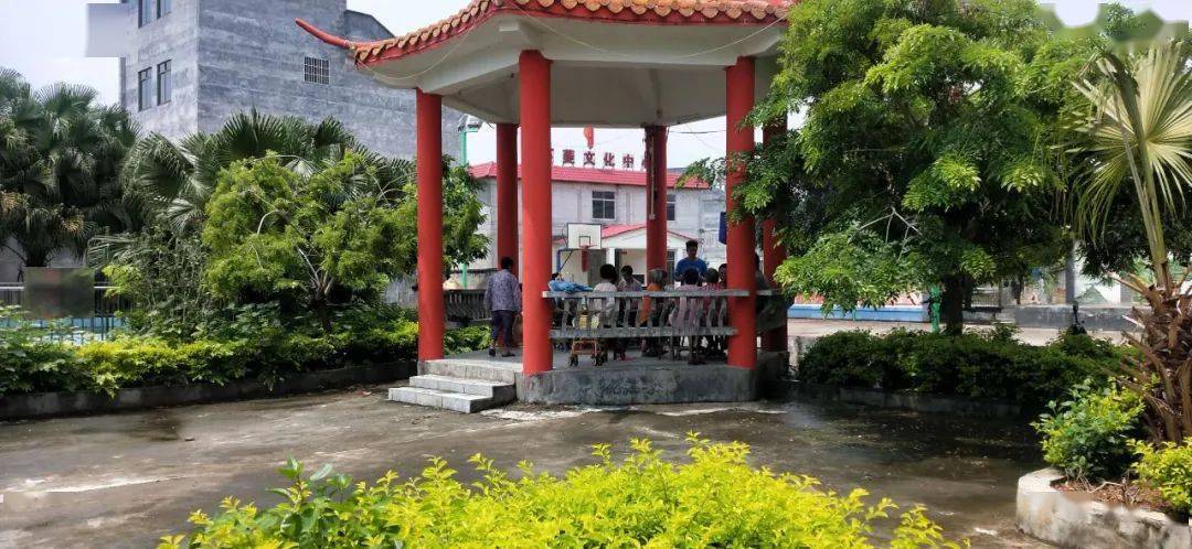 点赞平南大新大力开展人居环境整治工作全面提升乡村风貌