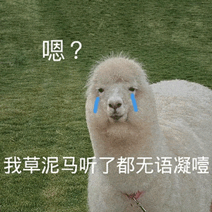 沙雕表情包:不约 ! 没看到我在学习吗?