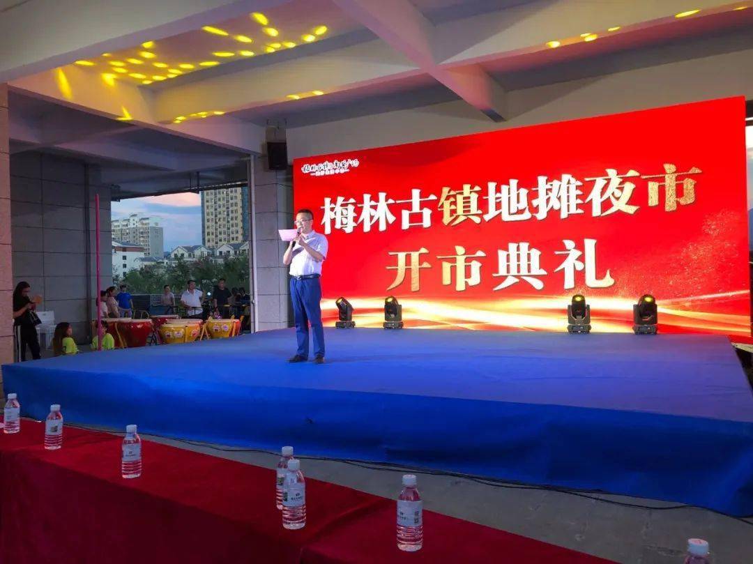 梅林镇GDP_梅林镇新成村航拍照片(3)