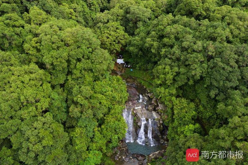 汕尾市陆河2020GDP_陆河擂茶(2)