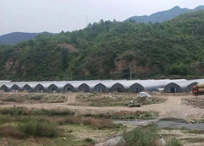 卢氏人口有多少_卢氏汤河温泉妇女