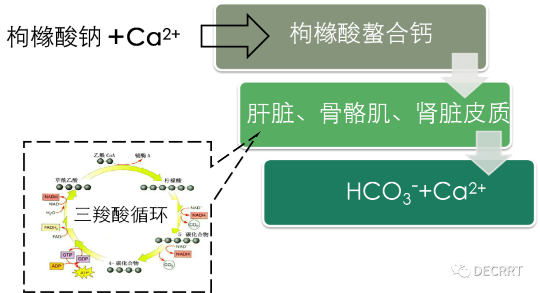 枸橼酸抗凝在重症血液净化中的应用