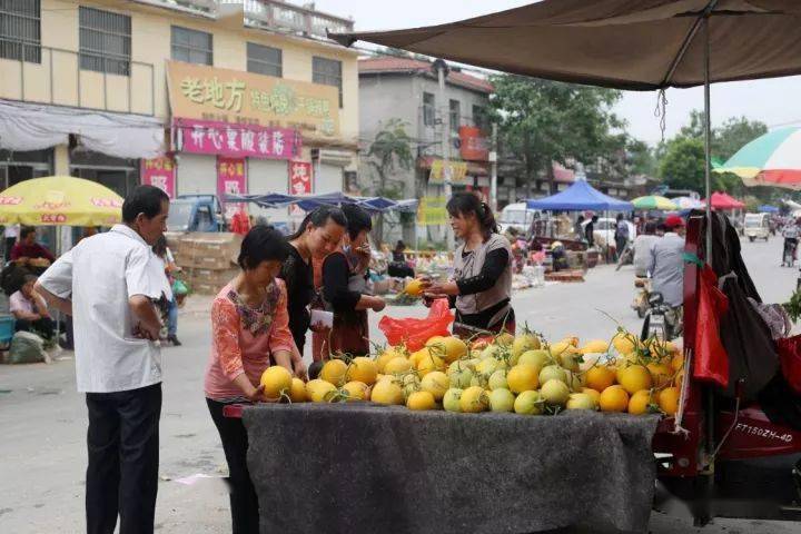 山东阳谷定水镇各村人口_山东人口结构图(2)