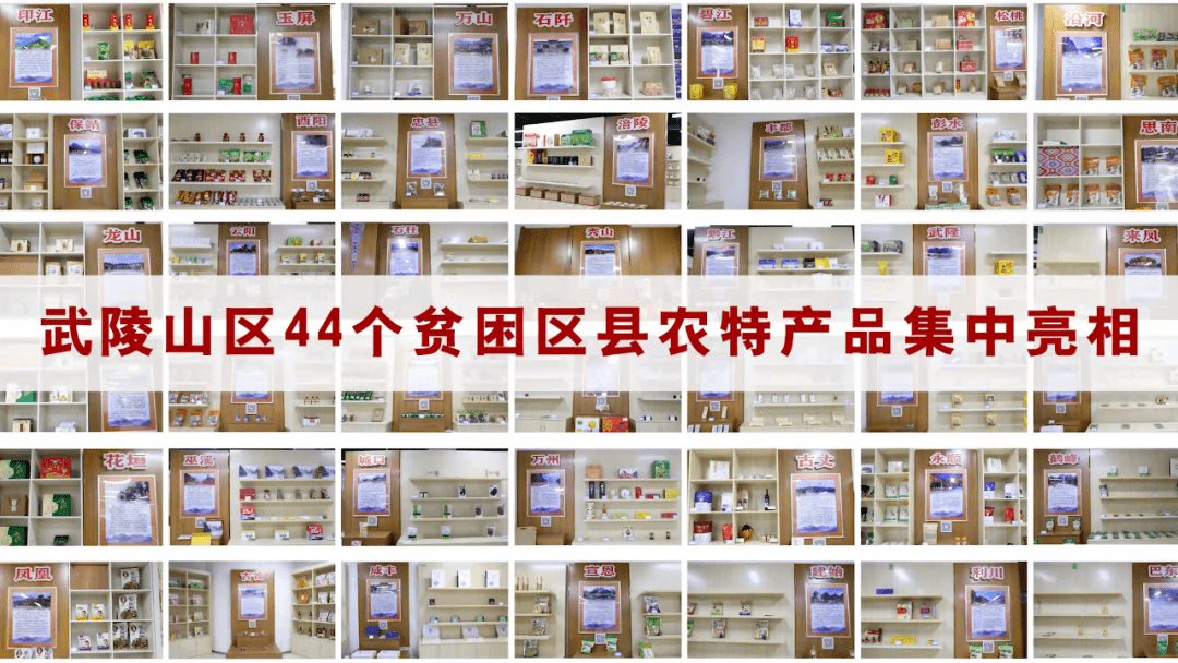 什么是电商带货和商品橱窗 27313df8eb3344c084fe7d6b84650cad.png
