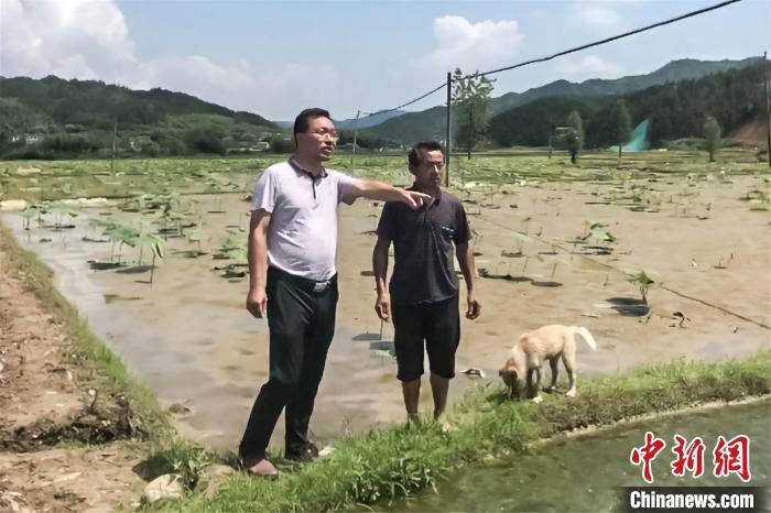 江西|江西抚州贫困户脱贫记：勇摘贫困帽 争做脱贫星