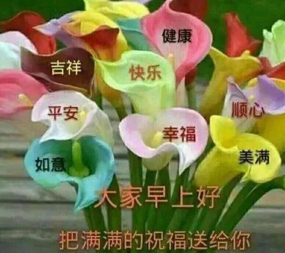 早上的祝福语情人 97a9a4a42f6843b291b1e6005308362b.jpeg