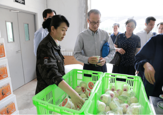 国家商务部消费促进司调研考察七里河区市场运行情况