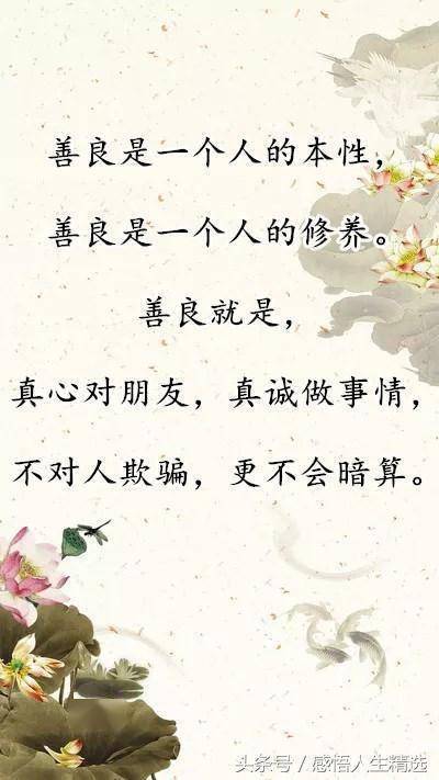 别把善良给错了人