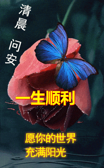 6月14日周日群发早上好问候祝福动态表情图片 6月最美