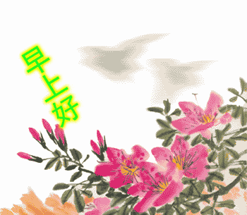 6月最新漂亮早安问候祝福动态图片鲜花带字,清晨最美暖心的问候祝福语