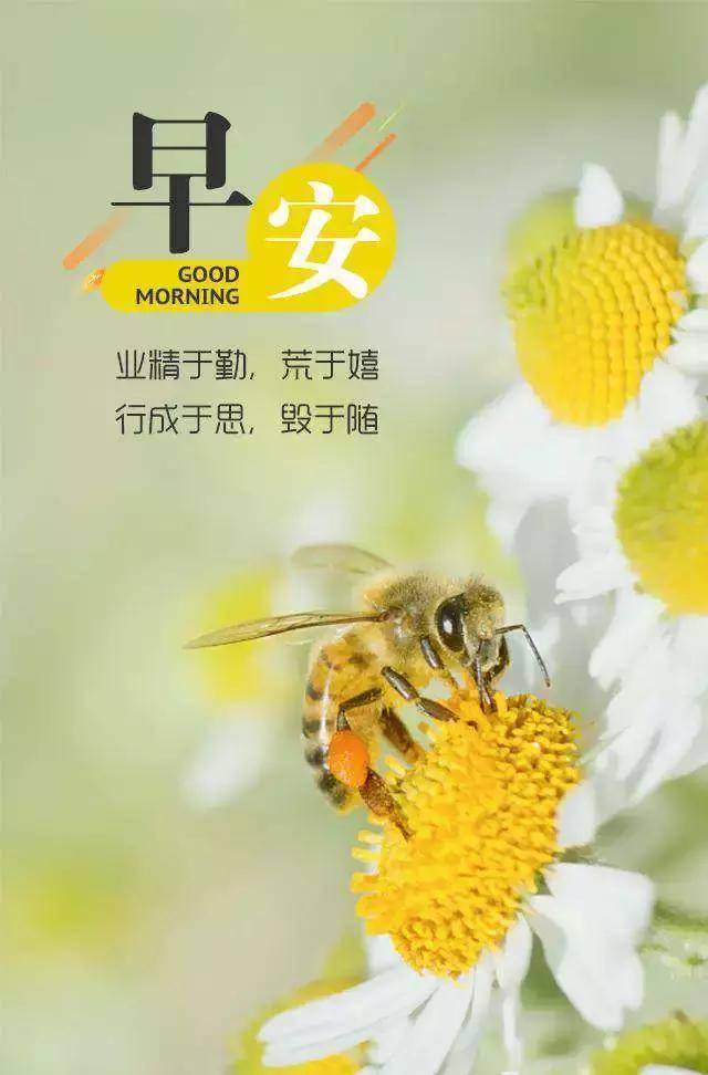 8月14日是什么季节 f16b78ee85bc4d7c820b42350467e0ba.jpeg